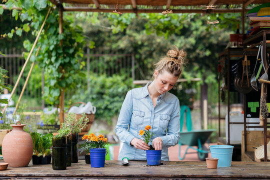Woman in potting shed potting plant