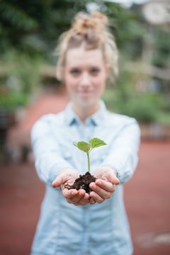 Woman holding seedling