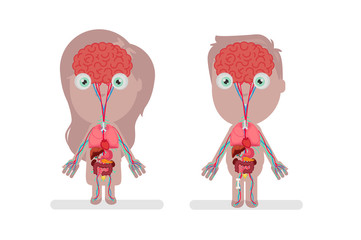 Human body anatomy vector illustration