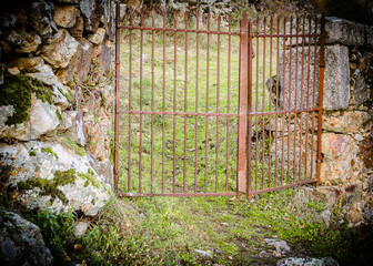 Old iron gate in the countryside