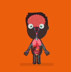 Human body anatomy vector illustration