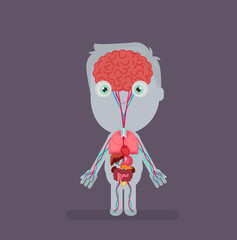 Human body anatomy vector illustration