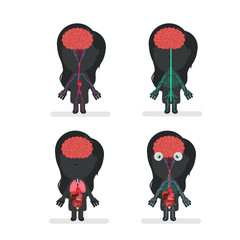 Human body anatomy vector illustration