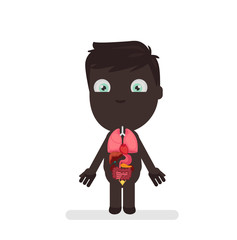 Human body anatomy vector illustration