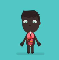 Human body anatomy vector illustration