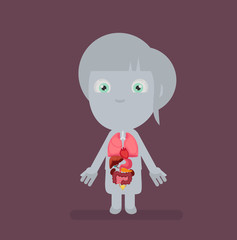 Human body anatomy vector illustration