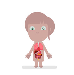 Human body anatomy vector illustration