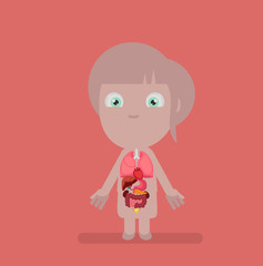 Human body anatomy vector illustration