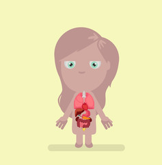 Human body anatomy vector illustration