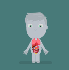 Human body anatomy vector illustration