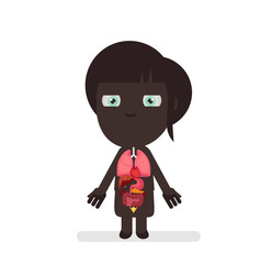 Human body anatomy vector illustration