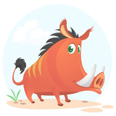 Wild boar or wild pig cartoon. Vector illustration isolated on white