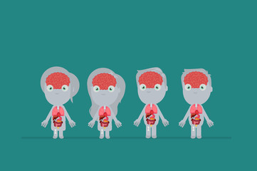 Human body anatomy vector illustration