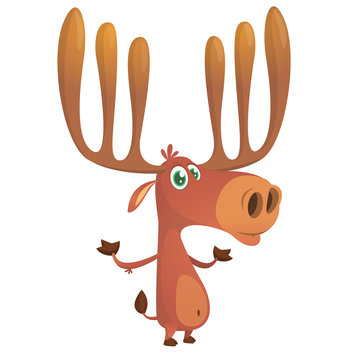 Cool cartoon moose character. Vector moose illustration isolated. 