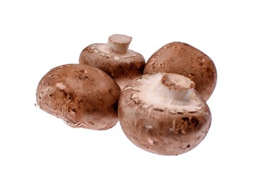 Gray mushrooms champignons isolated on a white background