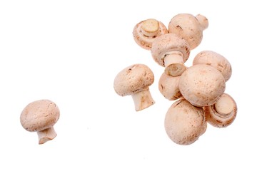 White mushrooms champignons isolated on a white background