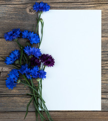 Flowers Cornflowers on wooden background