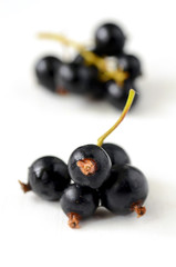 Black Currant berries