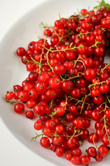 Red Currant berries