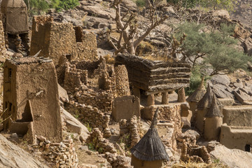 Dogon village and typical mud buildings, Tireli, Mali, Africa