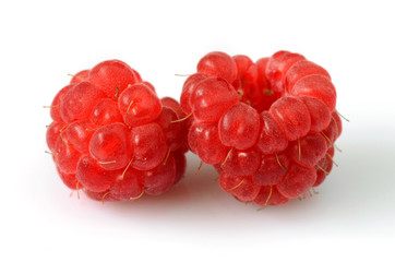 Delicious fresh raspberries