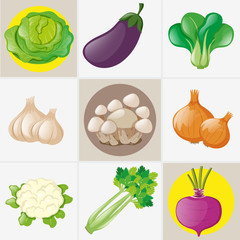 Different types of fresh vegetables