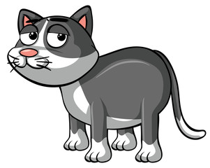 Sleepy cat on white background