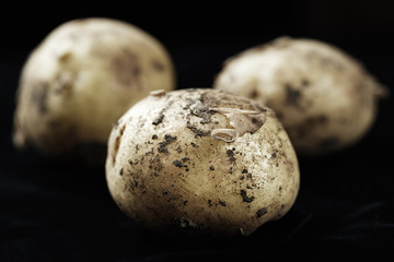 Fototapeta premium Pile of young potatoes
