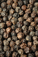 Close-up of black peppercorns