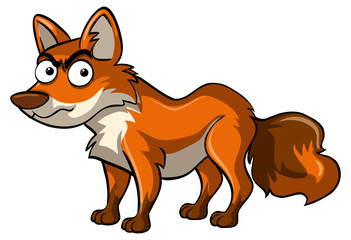 Obraz premium Wolf on white background