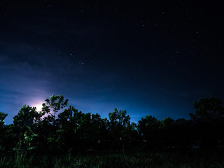 starry night with the moon in the forest