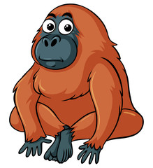 Brown urangutan sits on the ground