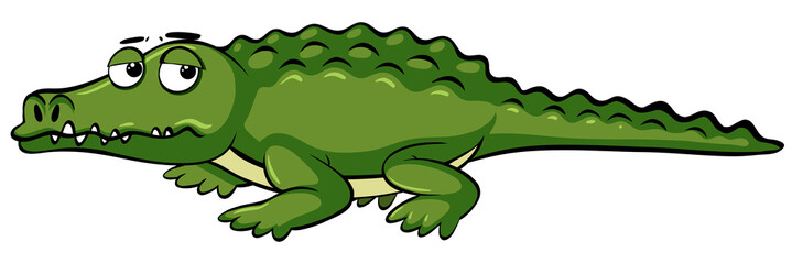 Sleepy crocodile on white background