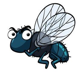 Housefly with angry face