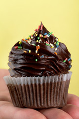 Male hand holding or presenting tasty appetizing chocolate cupcake. Yellow Background. Closeup.