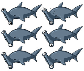 Hammerhead shark with different emotions