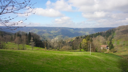 Fototapeta premium Les Vosges