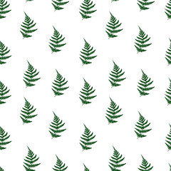 Fern Leaves Seamless Pattern Background. Vector illustration Seamless floral pattern. Nature organic background.fashion fabric texture, seamless vector pattern