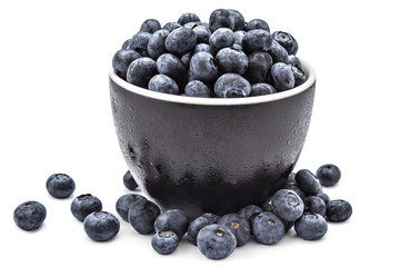 Fresh ripe organic blueberries in a frozen black bowl on a white background