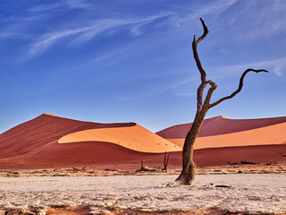 désert du namib aux dunes oranges