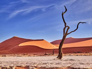 Zelfklevend Fotobehang woestijn van namib met oranje duinen © the_lightwriter