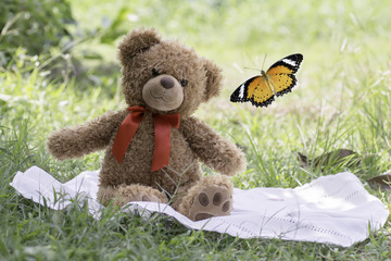 teddy bear picnic sitting on fabric in the garden with Leopard Lacewing butterfly  flying.