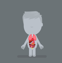 Human body anatomy vector illustration