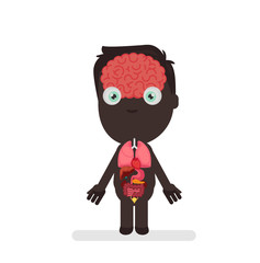 Human body anatomy vector illustration