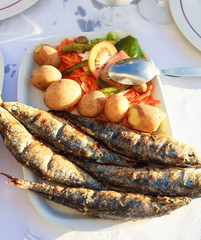 Traditional portuguese food - grilled sardines with boiled potatoes and salad served on white plate in typical portuguese outdoor restaurant    
