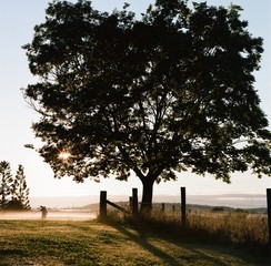 Photographer's morning outing