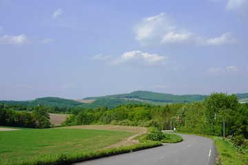 Road in Hokkaido with the mountain on the background