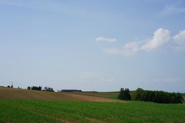 Fototapeta na wymiar Agriculture area / Hills