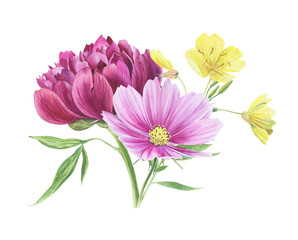 Beautiful watercolor floral clipart isolated