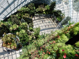SERRE TROPICALE SINGAPOUR